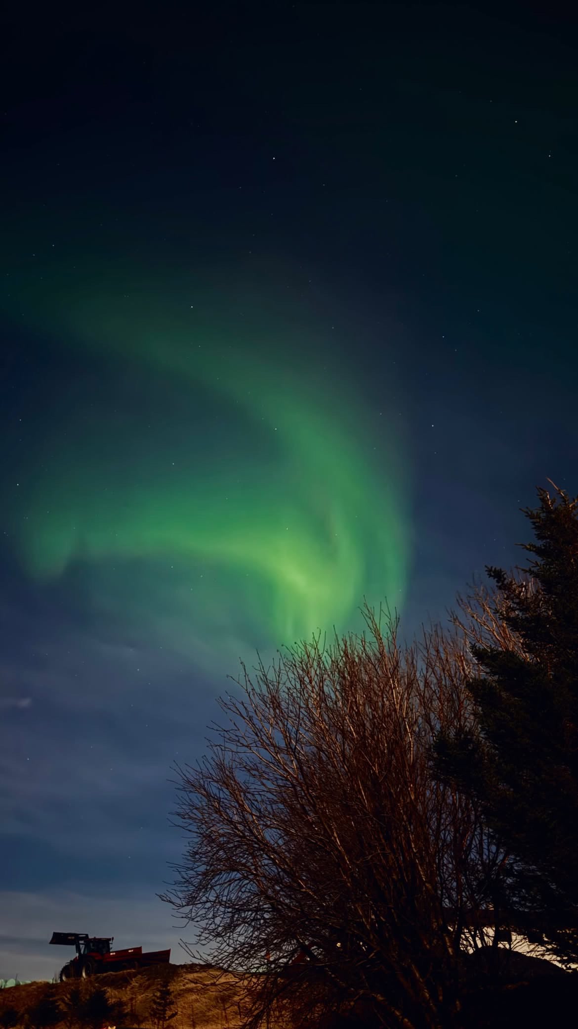 Aurora boreal verde fotografada pelo grupo sobre árvores e um campo na Islândia