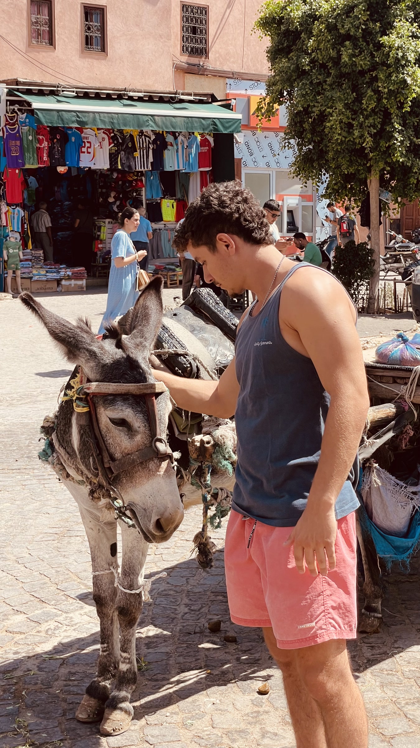 Um amigo aproxima-se de um burro num mercado de Marraquexe