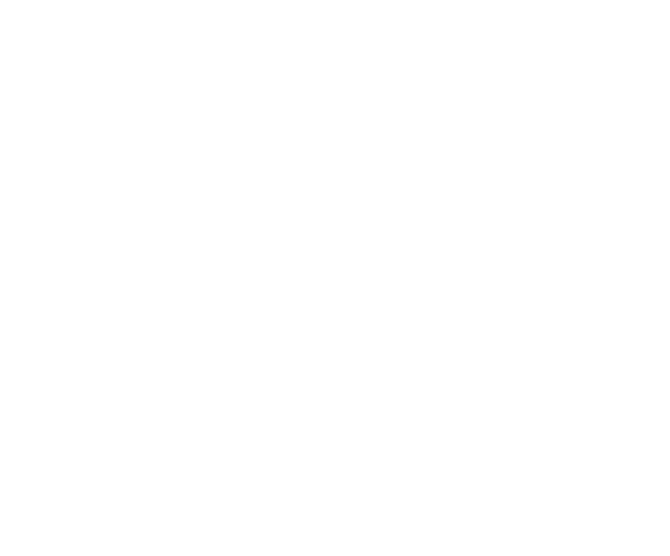 Navigo Cross